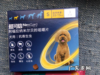 这些狗狗驱虫大误区 铲屎官你中了几个?