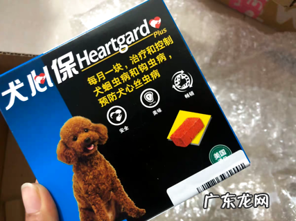 这些狗狗驱虫大误区 铲屎官你中了几个?