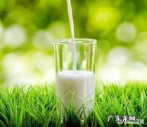 人们在减肥期间更需要补钙吗？为什么？