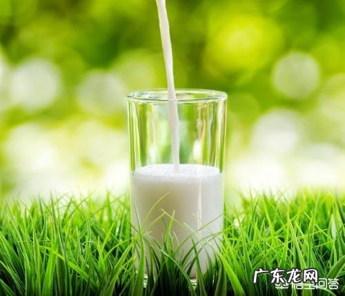 人们在减肥期间更需要补钙吗?为什么?