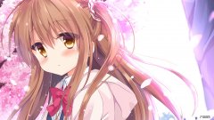 静脉曲张袜那个牌子的好呢？