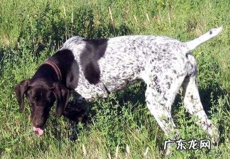 怎样练习波音达指示