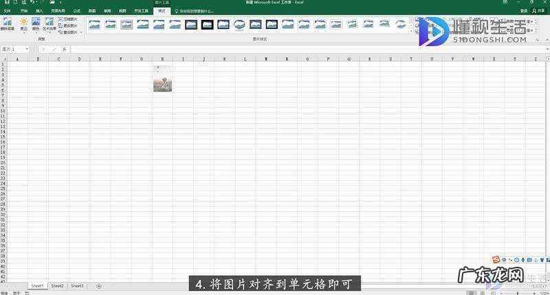 手机图片转excel表格? excel怎么插图片进入格子里