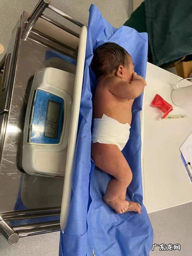 余杭乔司商贸城最近有什么进展-九乔商贸城余杭