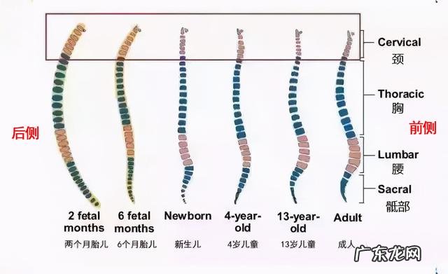 朱珠哄孩子-朱珠少儿节目