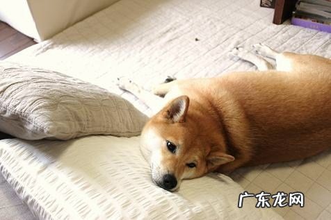 电视上打广告的减肥产品可以相信吗?