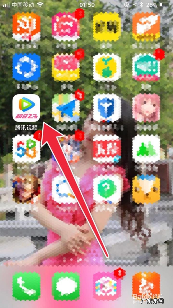 明星上综艺节目一期能多少钱 明星上过哪些综艺节目