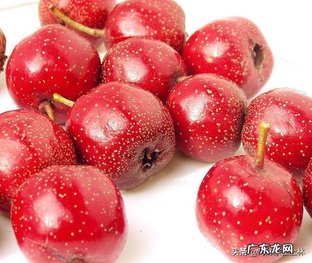 我有放了一年的山楂干和干荷叶吧,不知道能用来做什么?