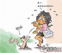 被猫狗咬伤怎么办被狗、猫咬伤、抓伤，怎么办？
