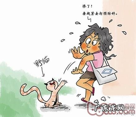 被猫狗咬伤怎么办被狗、猫咬伤、抓伤，怎么办？