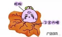 针灸促排卵成功率高吗？如何促进排卵呢？