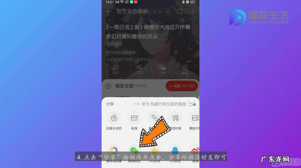 手机网易云怎么看qq好友? 网易云怎么分享歌单给微信好友