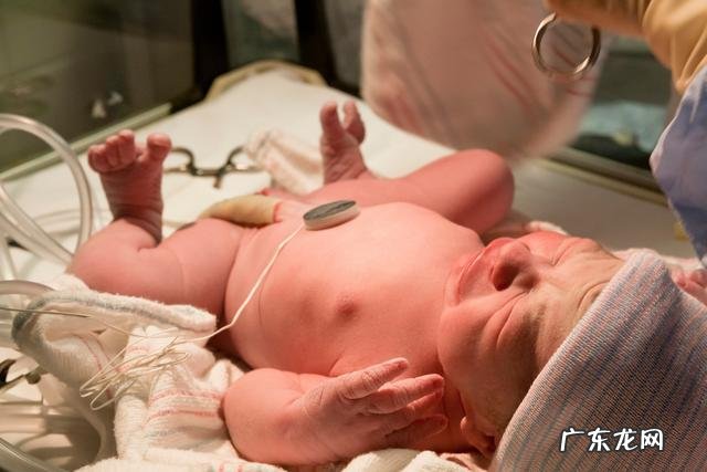 新生儿护理的三勤四不-新生儿护理三勤三放