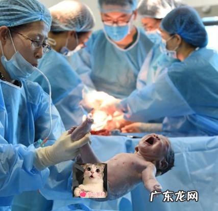 新生儿出生后的黄金24小时-初生婴儿黄金期