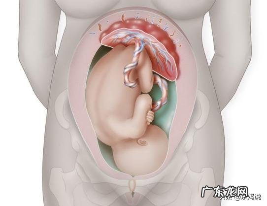 孕晚期不运动会不会不好生呢