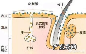 男生的皮肤突然开始变得很油,长了很多闭口,该怎么办