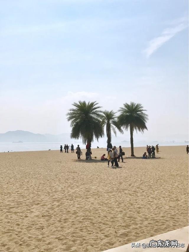 想去厦门玩几天,请问各位有什么建议吗