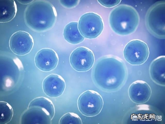 吃饭后食物在多长时间排出算正常?