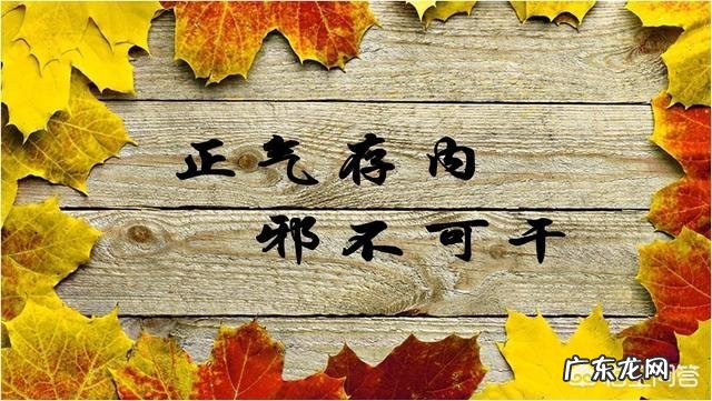 你见过最妙手回春的中医从业者有多厉害?