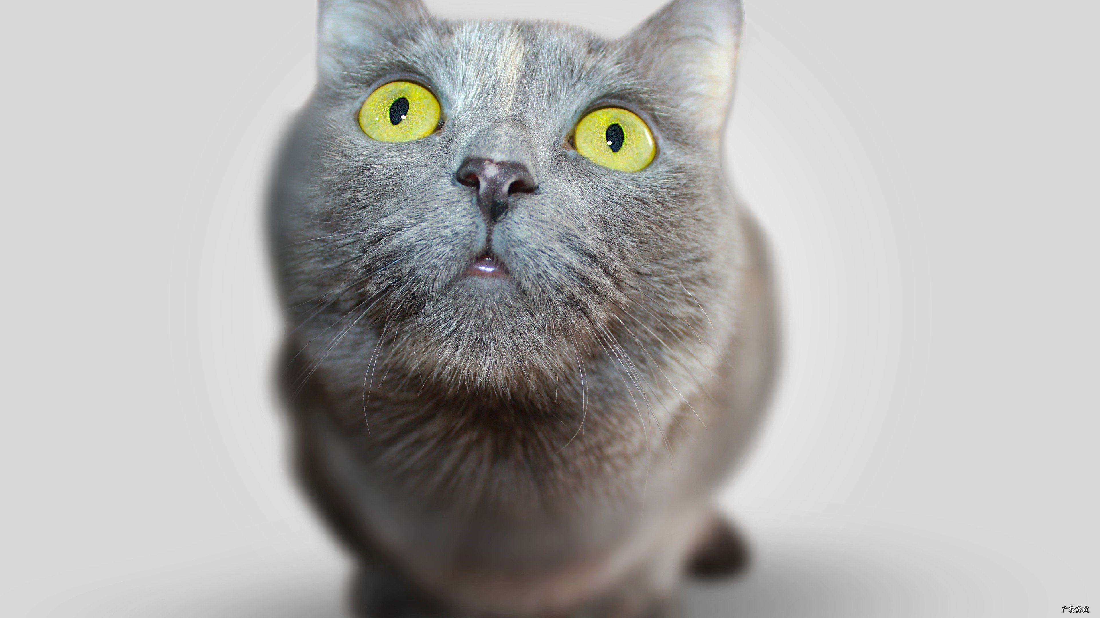 有没有人跳郑多燕的减肥操瘦下来的呢?