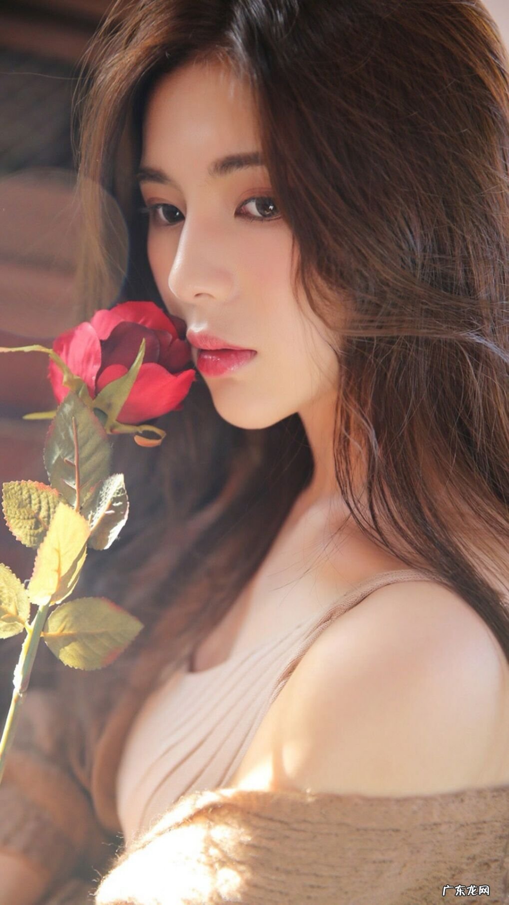 韩国蝶妆化妆品旗下有什么品牌?