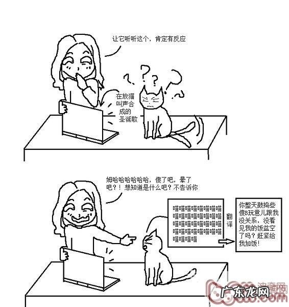 猫咪行为图解:养过猫的都懂