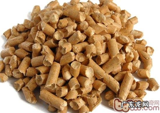 猫砂要挑选合适猫咪的