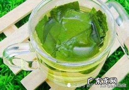 最近今日头条有玉米须桑叶茶降糖是真的吗?