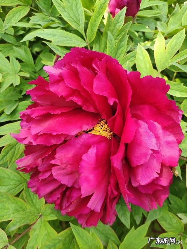 对于大学生来说,疫情期间有哪些好的自我提升方式