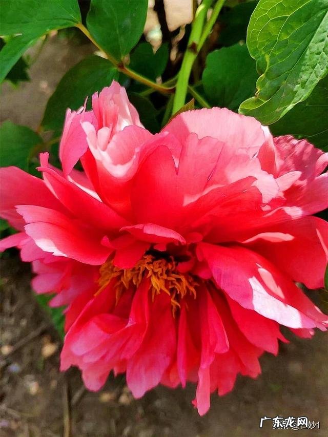 对于大学生来说,疫情期间有哪些好的自我提升方式