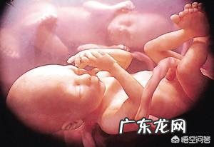 吃什么胎儿最好吸收营养 怎样让胎儿更好地吸收营养?