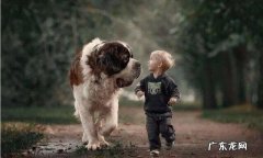 有没有知道给狗狗吃的驱虫药在正常药店可以买到吗？