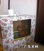 克己简略猫厕所的办法