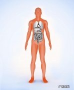 怎样去除身体中残留的减肥药对人体有害成份？