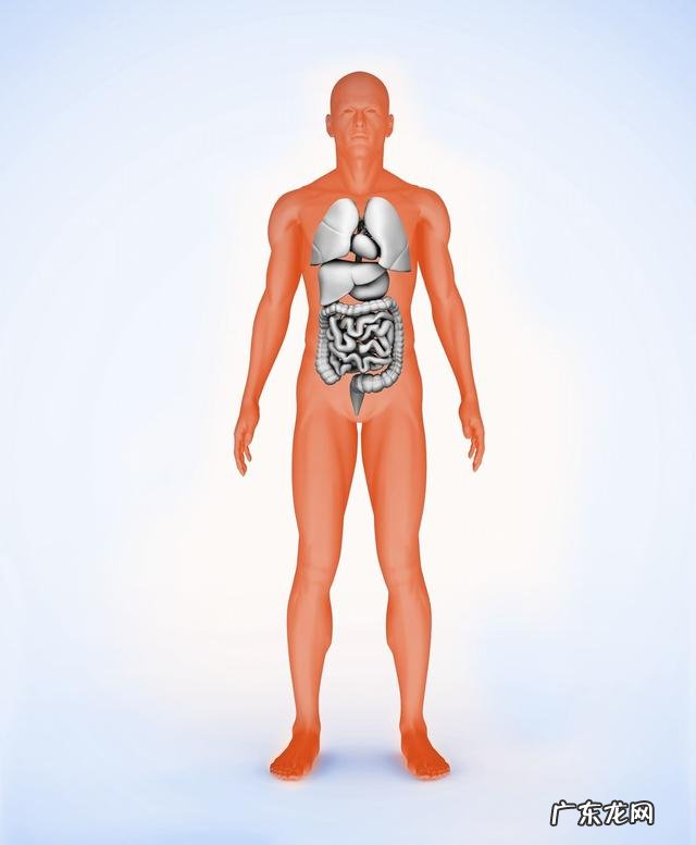 怎样去除身体中残留的减肥药对人体有害成份?