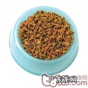 怎样给猫咪挑选适宜的猫粮