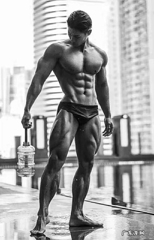 蛋白粉在不锻炼的时候有用吗?