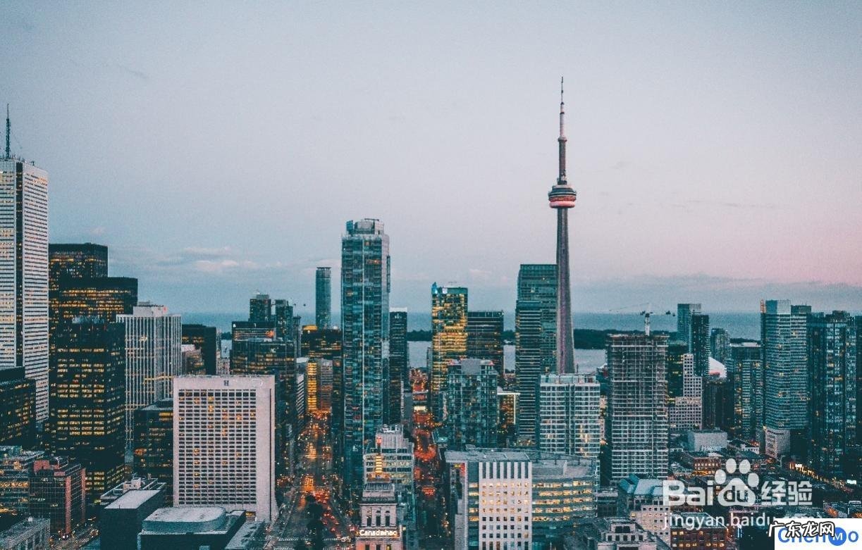 市场上的相机品牌有哪些 目前市场上的金融投资有哪些