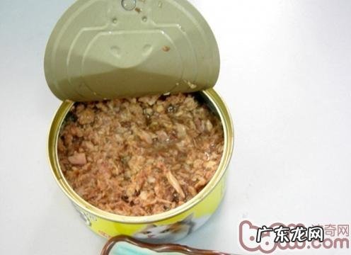 猫咪的罐头要怎么才干保鲜