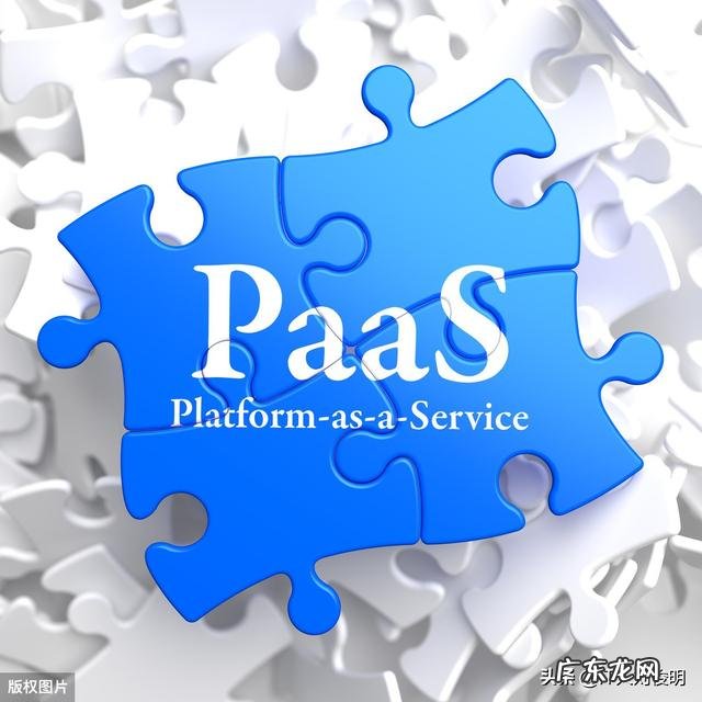 有什么软件可以提供食物的热量吗