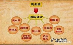 体检血脂四项只有总胆固醇偏高，需要怎么调理