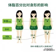 为什么我的体脂那么低 为什么我的体脂降低得非常慢，体重降低确比较快？