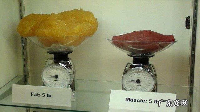 为什么我的体脂那么低 为什么我的体脂降低得非常慢，体重降低确比较快？