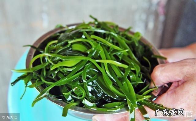 精力旺盛是什么样子的？一般一个人在什么年龄段精力最旺盛？