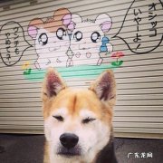 怎么用普通的丝袜全包身体？