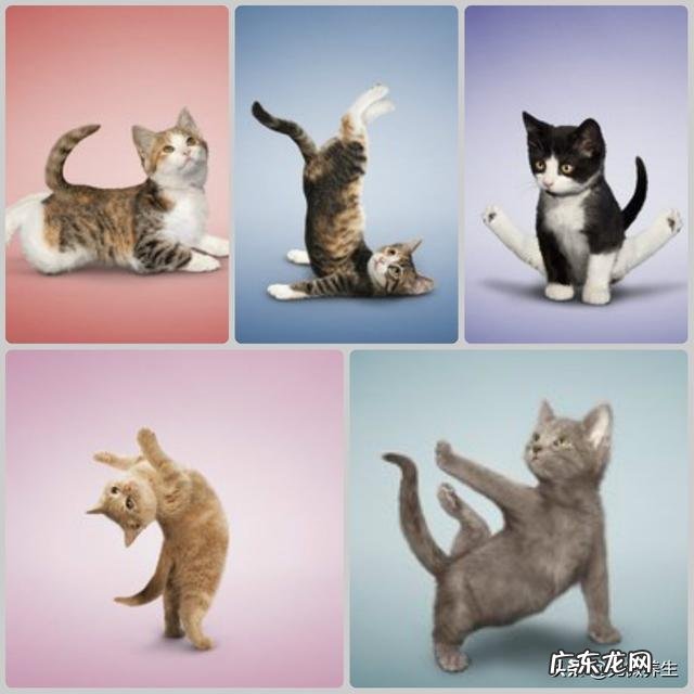 准备减肥,怎样先祛湿气来保障减肥效果?