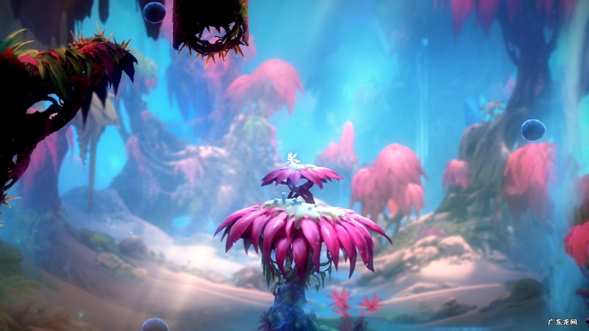 推荐一些可以自己制作的减肥食物