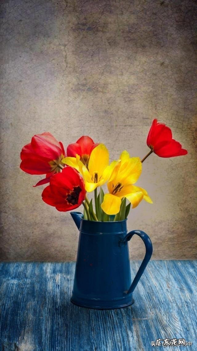 气不够用,长出一口气好一点吃什么样中成药?