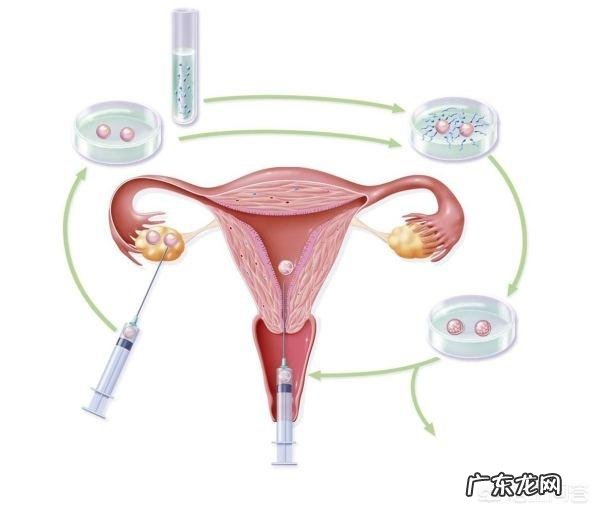 气不够用,长出一口气好一点吃什么样中成药?