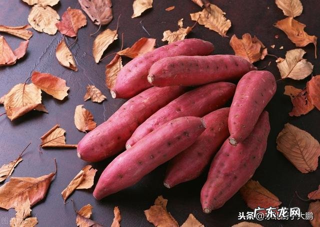 黄瓜与西红柿一起炒有没有坏处?